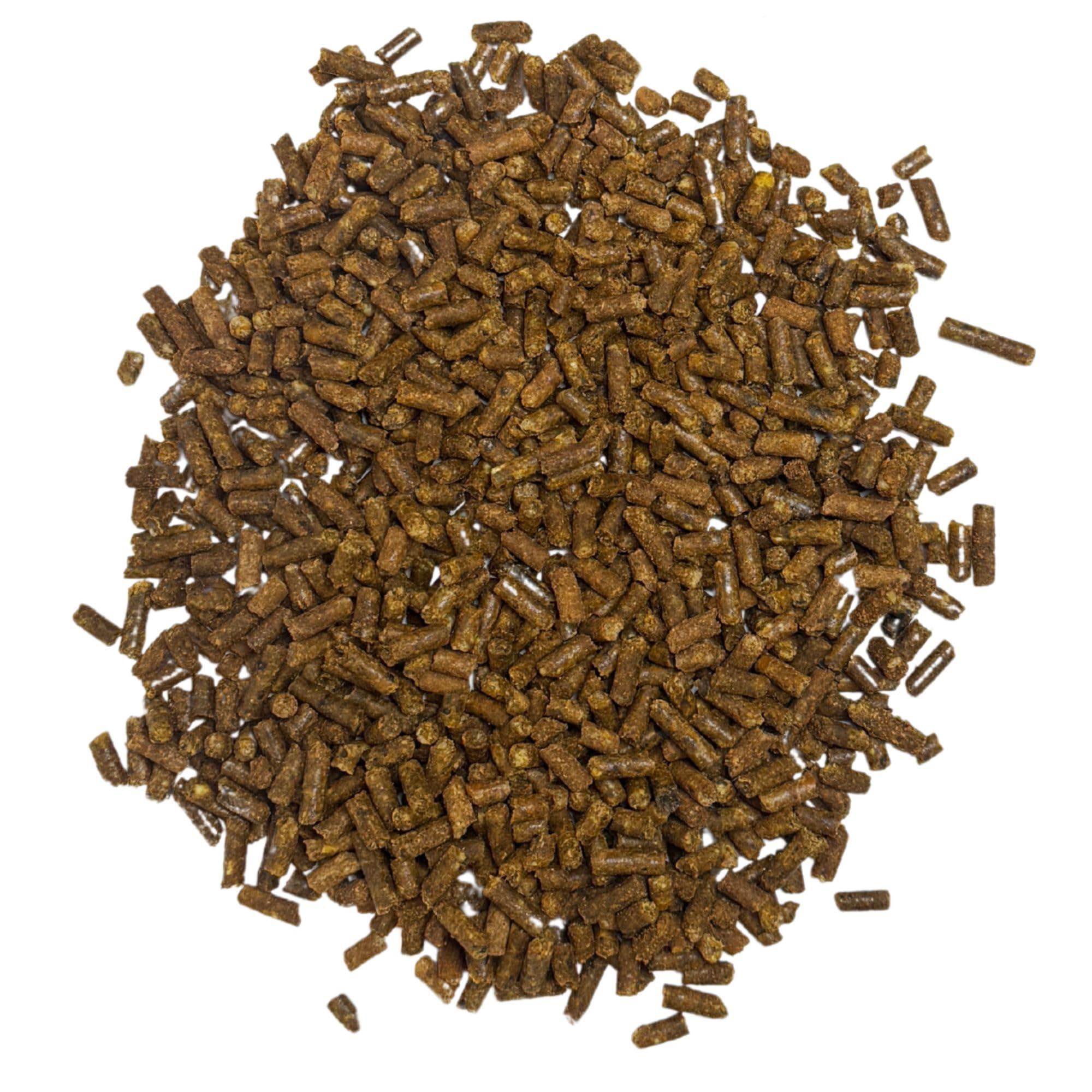 Exotic Nutrition gros plan sur granulés, texture nutritive appétente pour mouffette