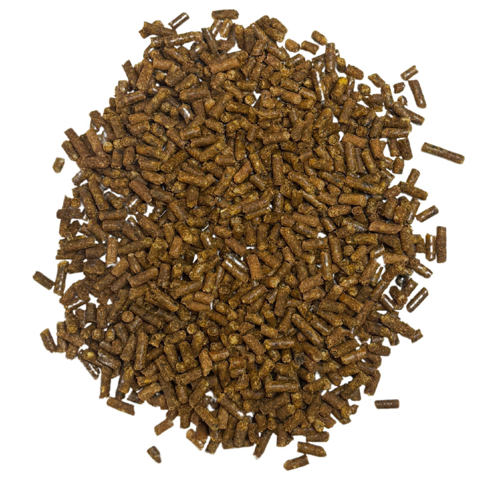 Exotic Nutrition gros plan sur granulés, texture nutritive appétente pour mouffette