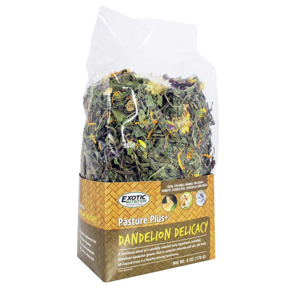 Exotic Nutrition gros plan texture des fleurs séchées pour mastication saine