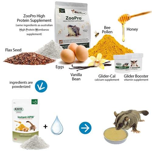 Portions congelées Instant-HPW Exotic Nutrition dans moule à glaçons pour conservation