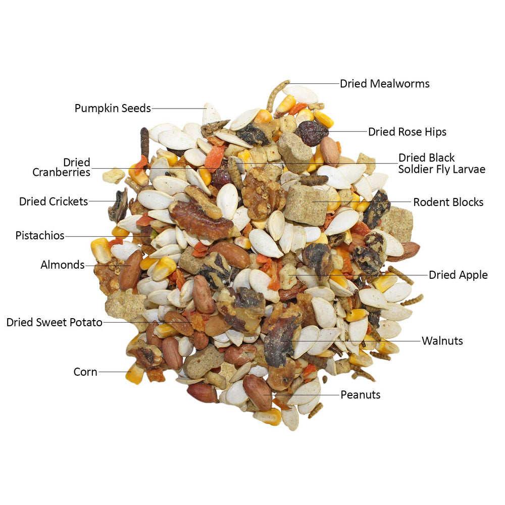 Exotic Nutrition matériau de nidification doux pour confort thermique du nid