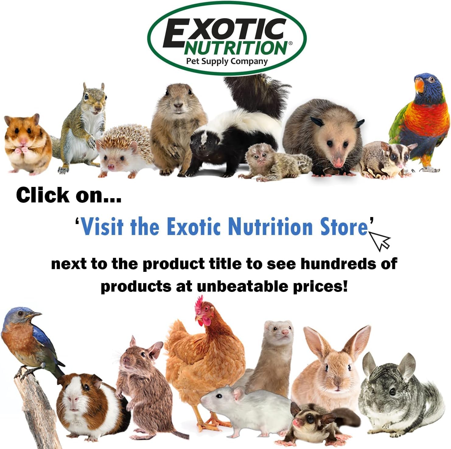 Exotic Nutrition saupoudré sur nourriture d'opossum pour enrichir l'alimentation