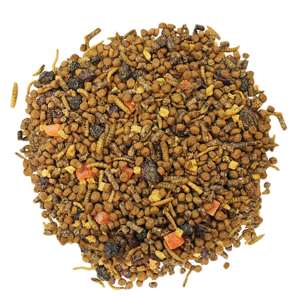 Exotic Nutrition gros plan sur granulés montrant texture appétente
