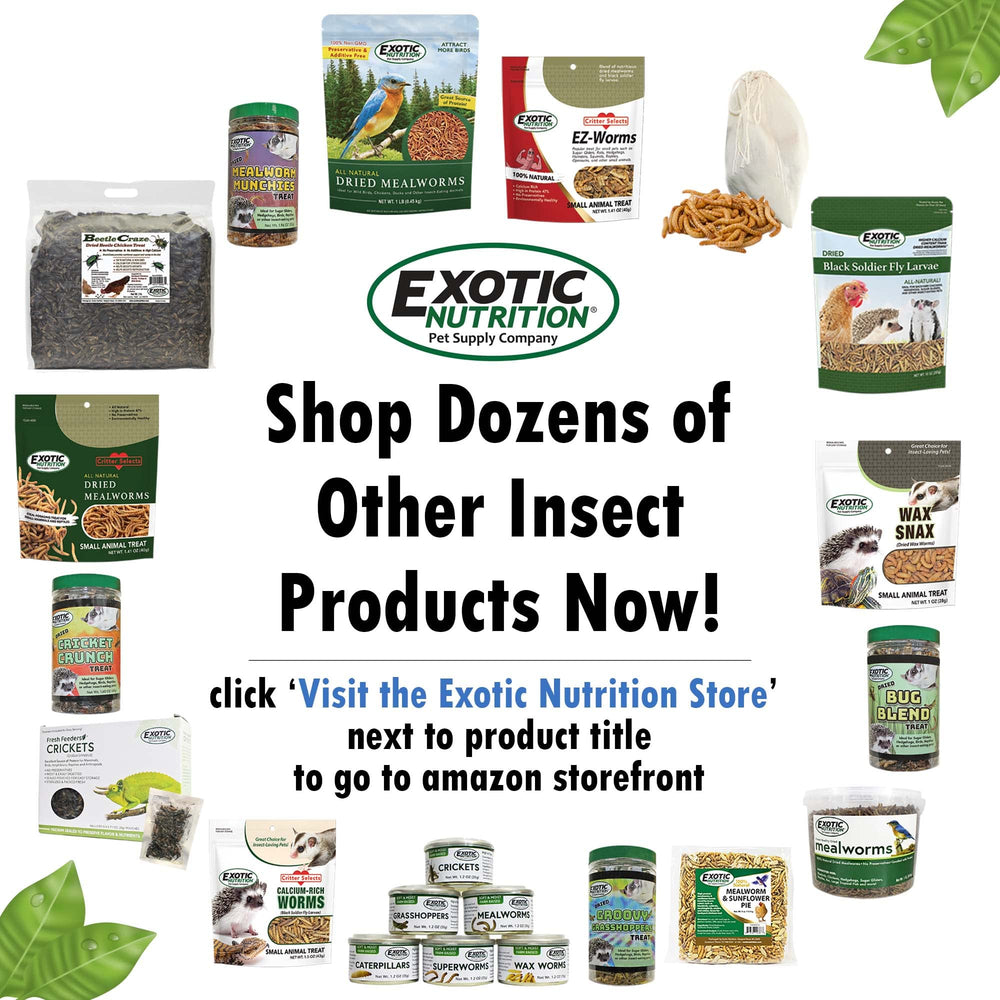 Exotic Nutrition enclos lifestyle montrant opossum consommant le produit
