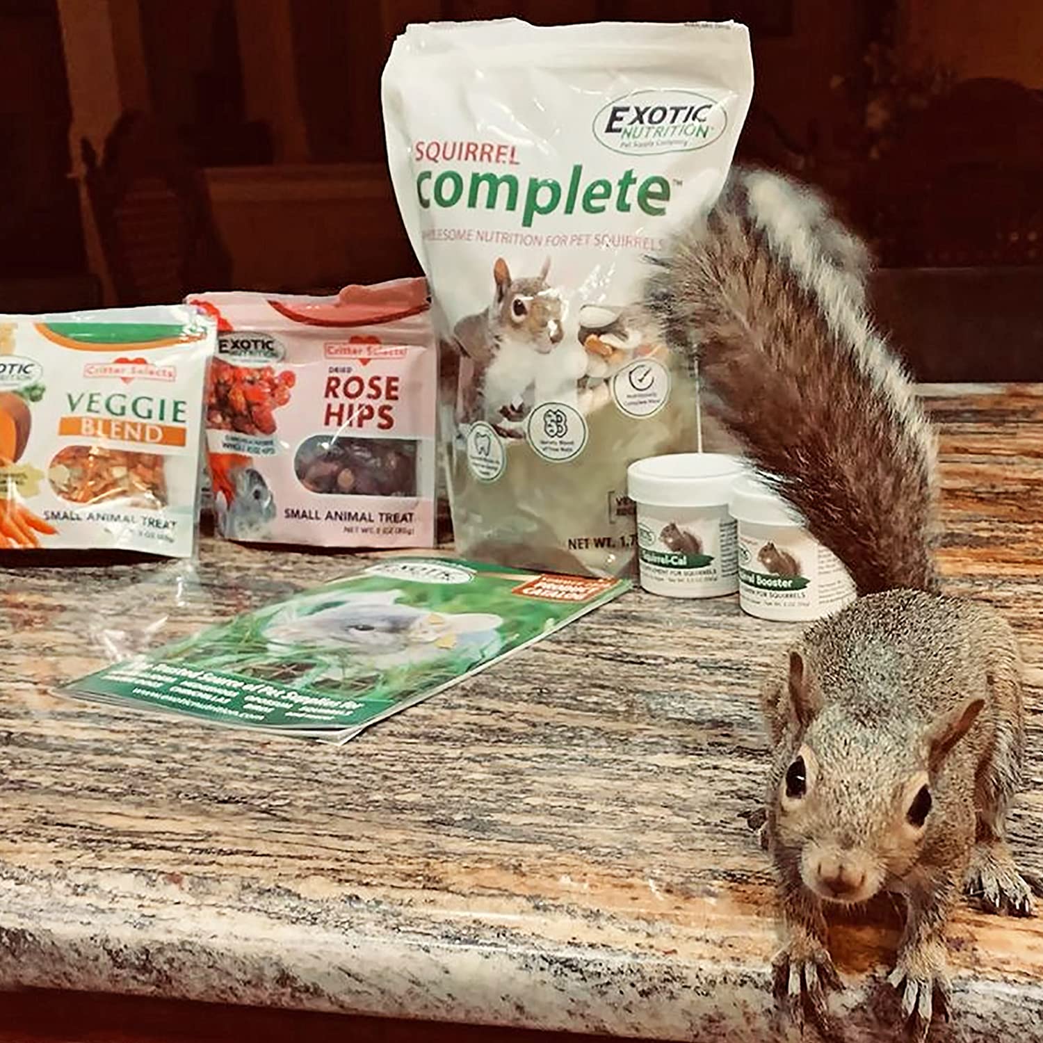 Exotic Nutrition produit présenté en utilisation par un écureuil, appétence démontrée