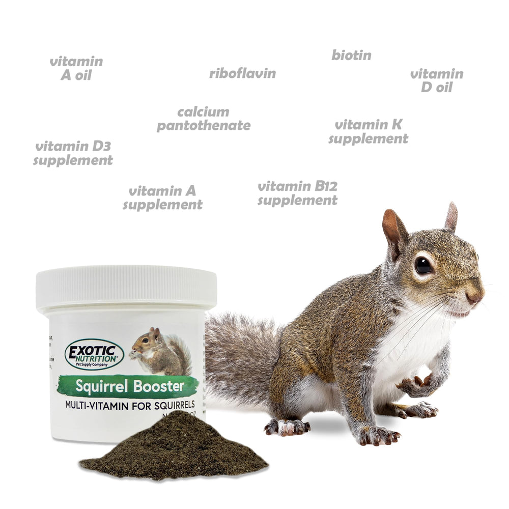 Exotic Nutrition gros plan granules indiquant levure vivante pour santé intestinale