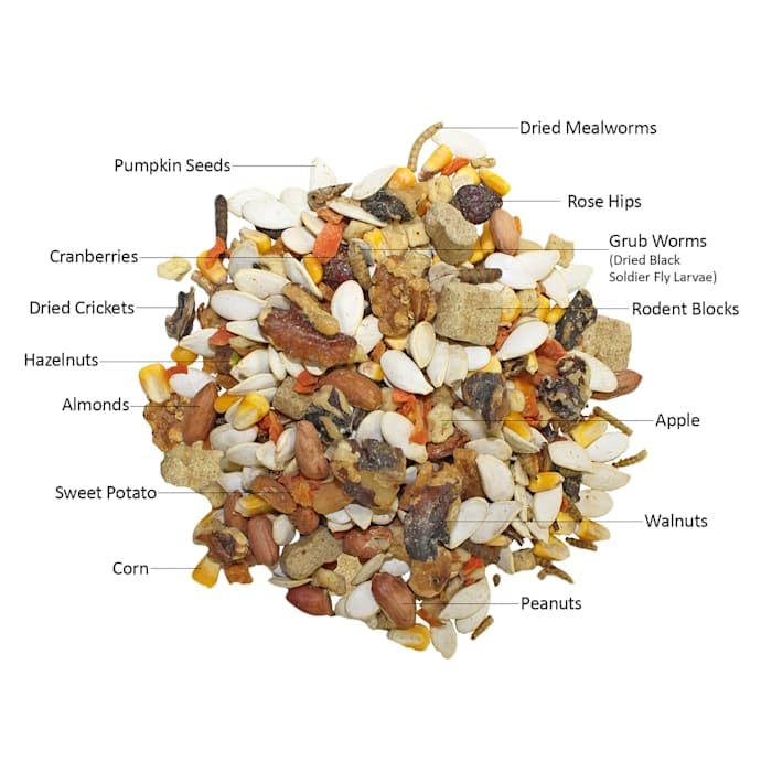 Exotic Nutrition bol nourrissant un écureuil montrant appétence et usage