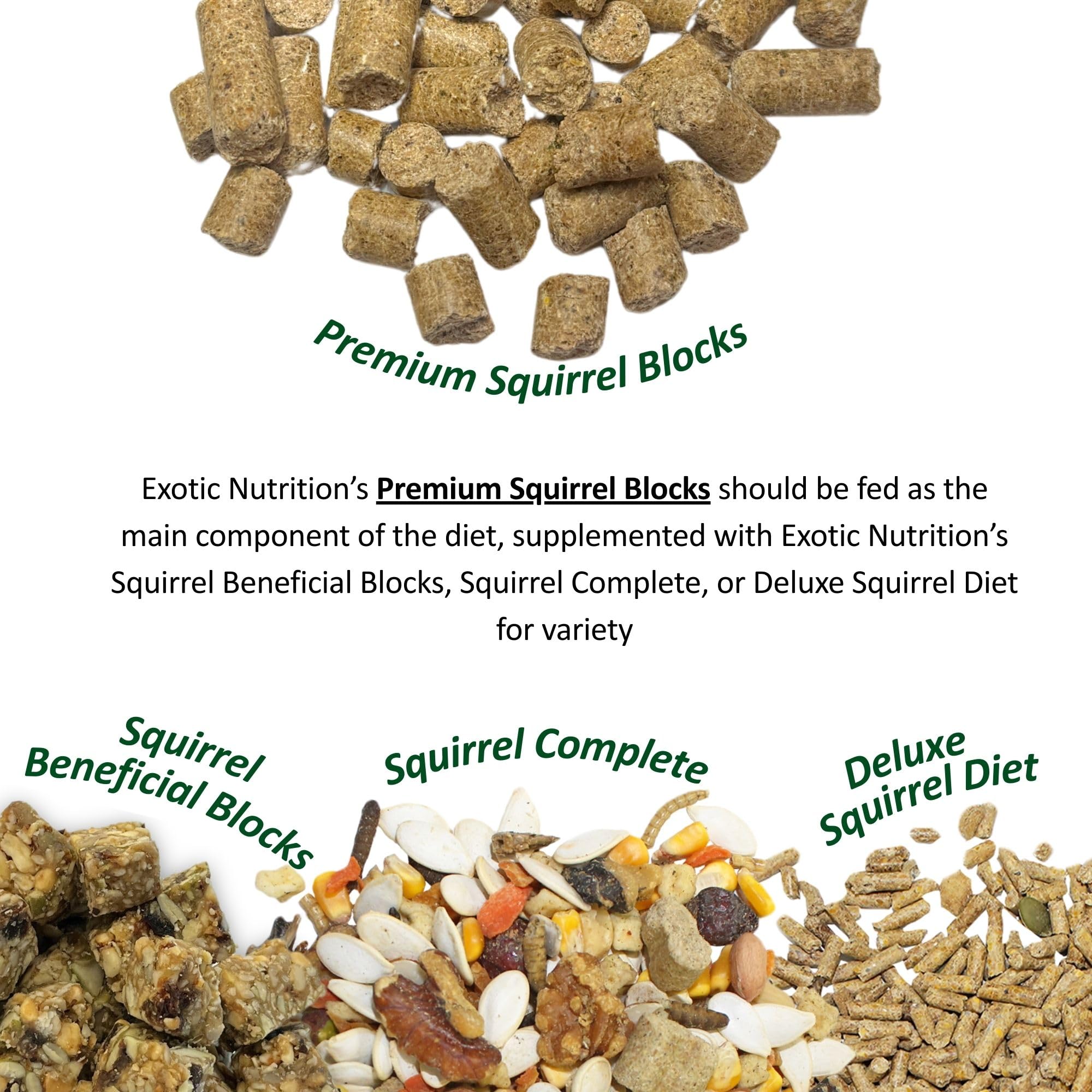 Exotic Nutrition gros plan sur la texture pour inspection qualitative rapide