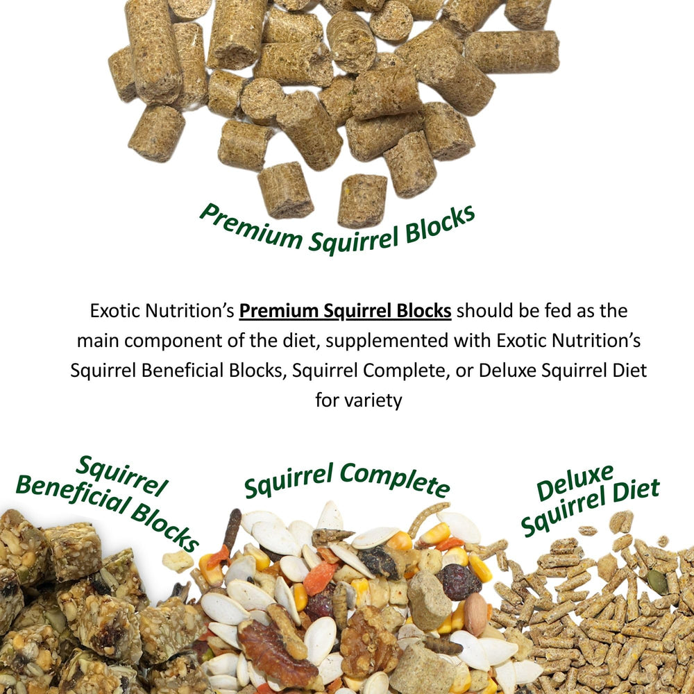Exotic Nutrition gros plan sur la texture pour inspection qualitative rapide