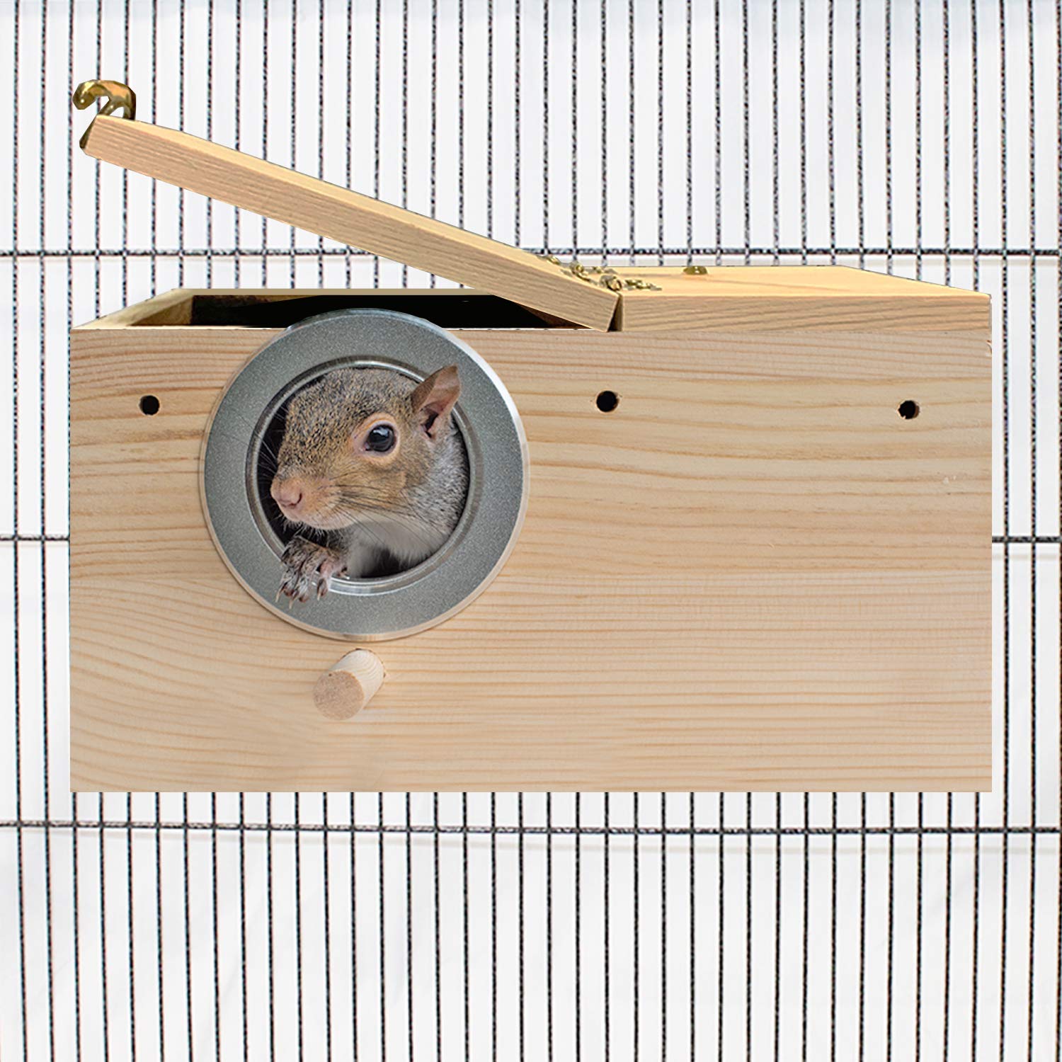 Exotic Nutrition Squirrel Complete food paquet, alimentation équilibrée pratique