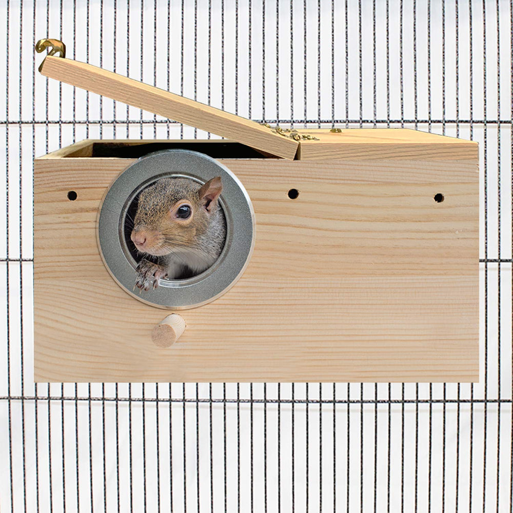 Exotic Nutrition Squirrel Complete food paquet, alimentation équilibrée pratique