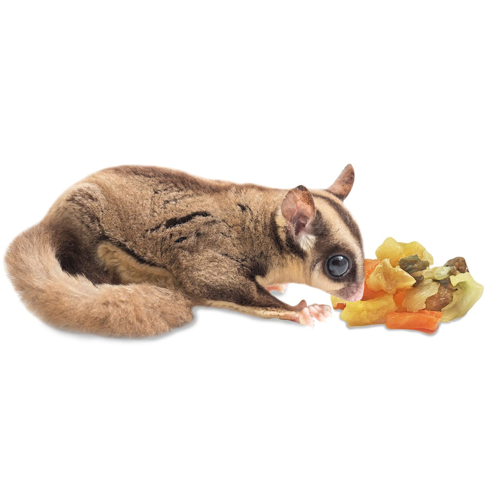 Exotic Nutrition iguane consommant le mélange montrant acceptation par reptiles