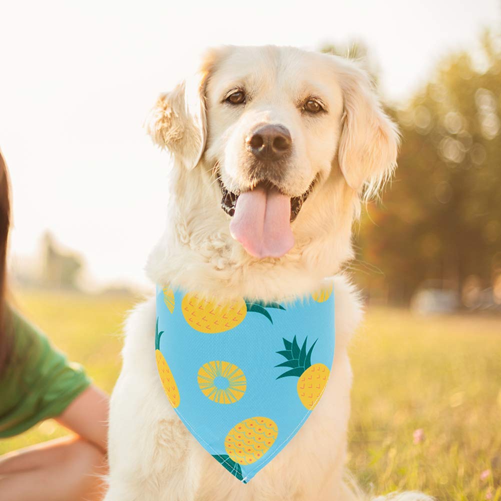 EXPAWLORER quatre bandanas portés ensemble sur chien montrant couleurs assorties pratiques
