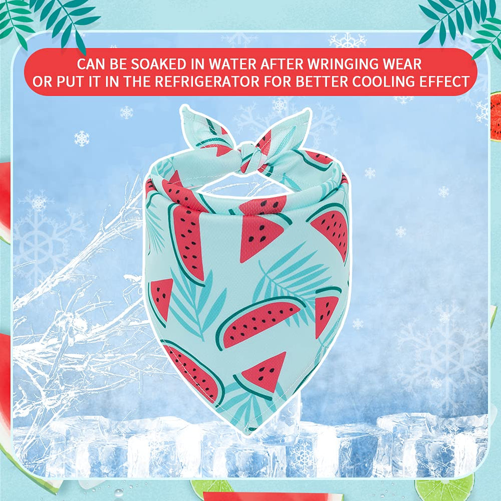 EXPAWLORER étiquette et finition montrant couture propre et qualité de fabrication