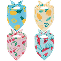 EXPAWLORER packaging du pack de 4 bandanas montrant motifs et couleurs pour choix facile