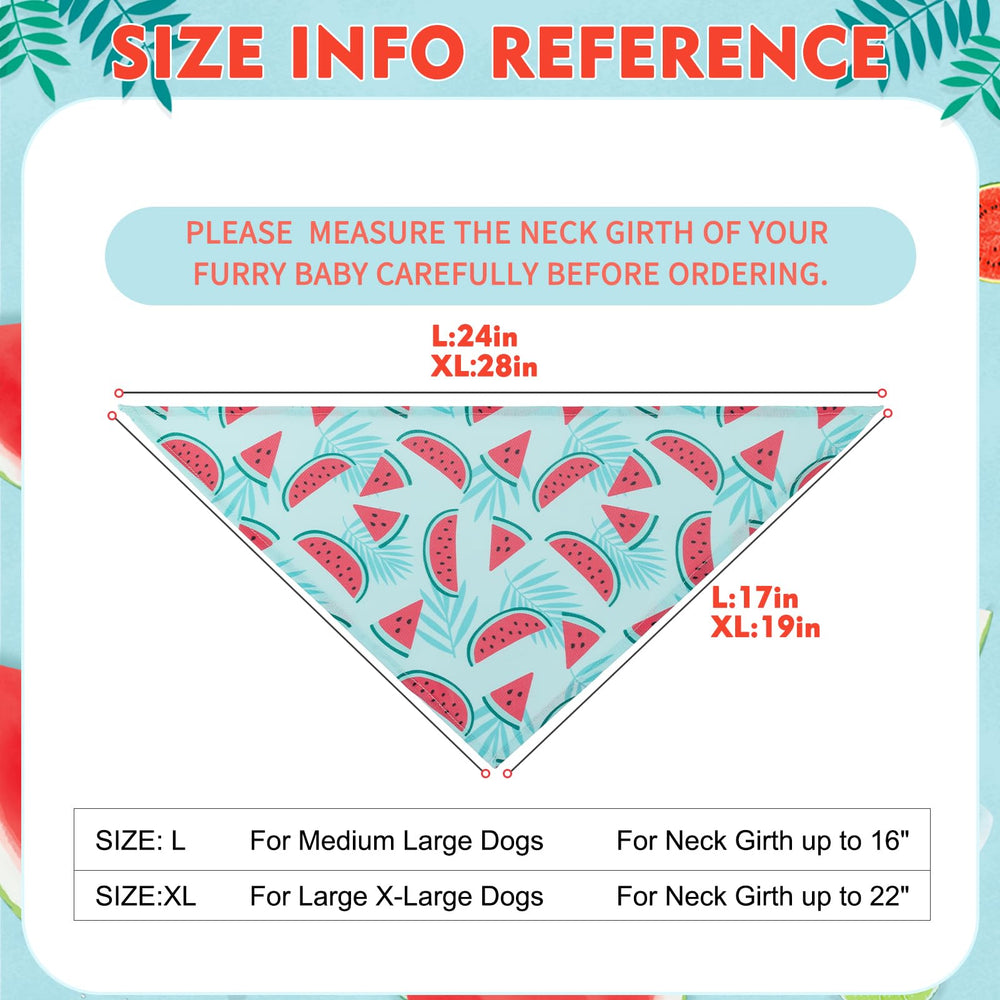 EXPAWLORER bandana pastèque porté sur chien illustrant effet rafraîchissant en promenade