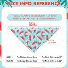 EXPAWLORER bandana pastèque porté sur chien illustrant effet rafraîchissant en promenade