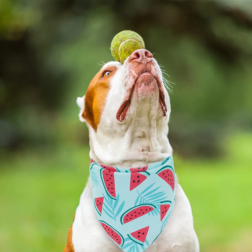 EXPAWLORER bandana en situation extérieure sur chien montrant confort et style estival