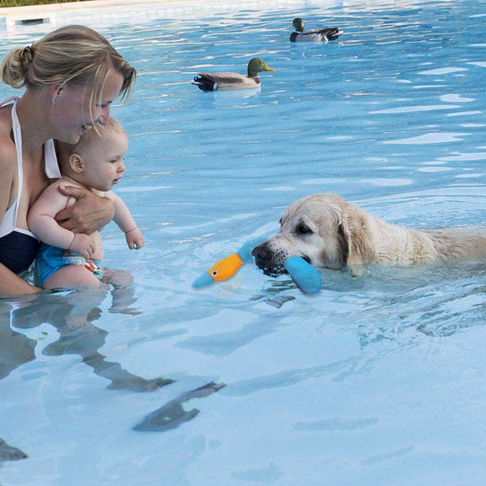 EXPAWLORER couleurs vives en gros plan, visibilité accrue sur l'eau