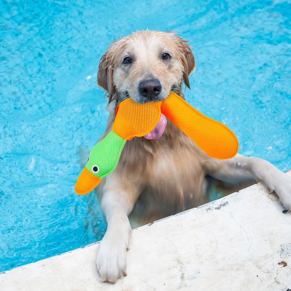 EXPAWLORER coutures et rembourrage visibles, construction durable sécurisante