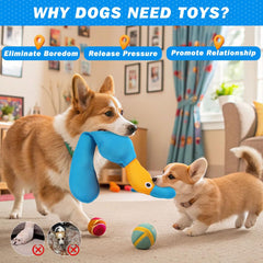 EXPAWLORER canard saisi par un chien, ergonomie adaptée pour tenir en bouche