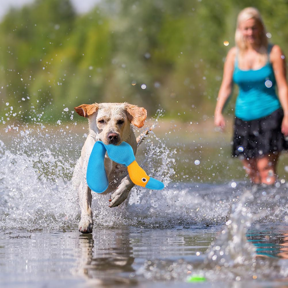 EXPAWLORER canard sur la plage avec chien, jouet idéal pour sorties aquatiques