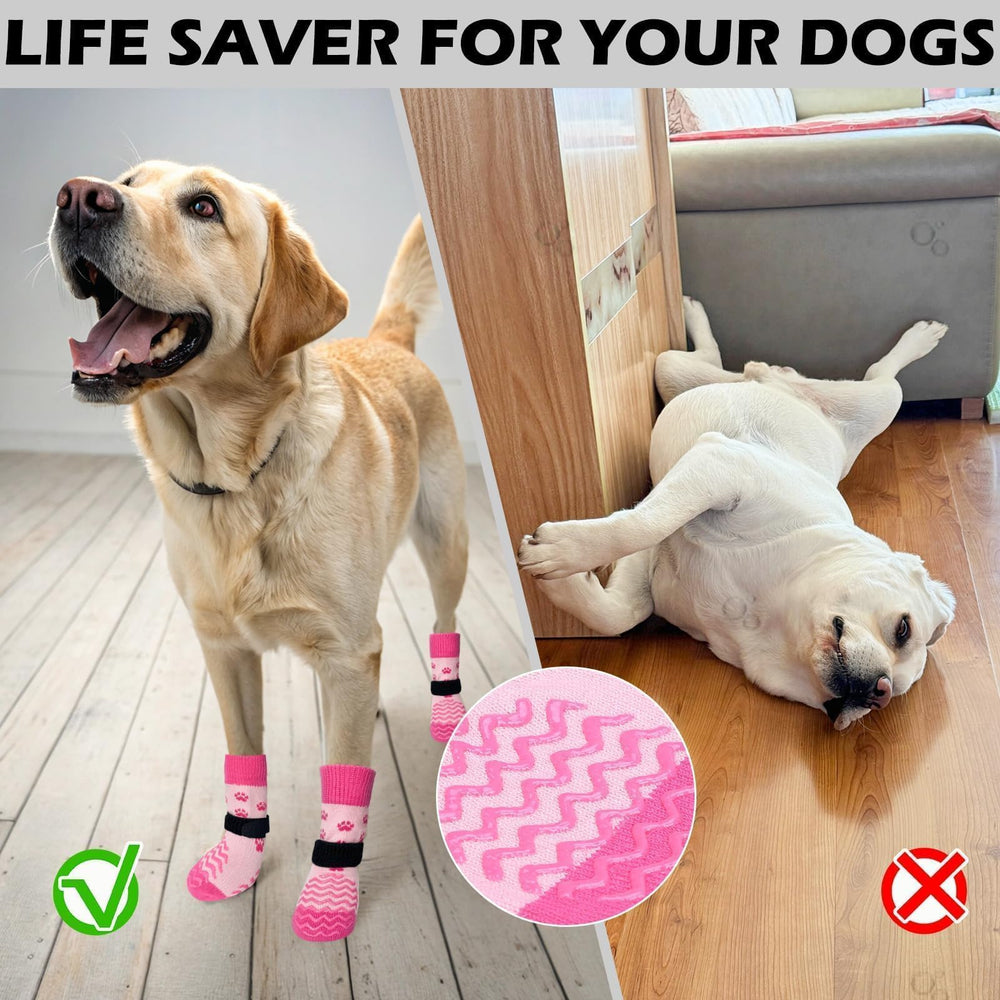 EXPAWLORER chaussette en action lors d'une promenade sur bitume chaud