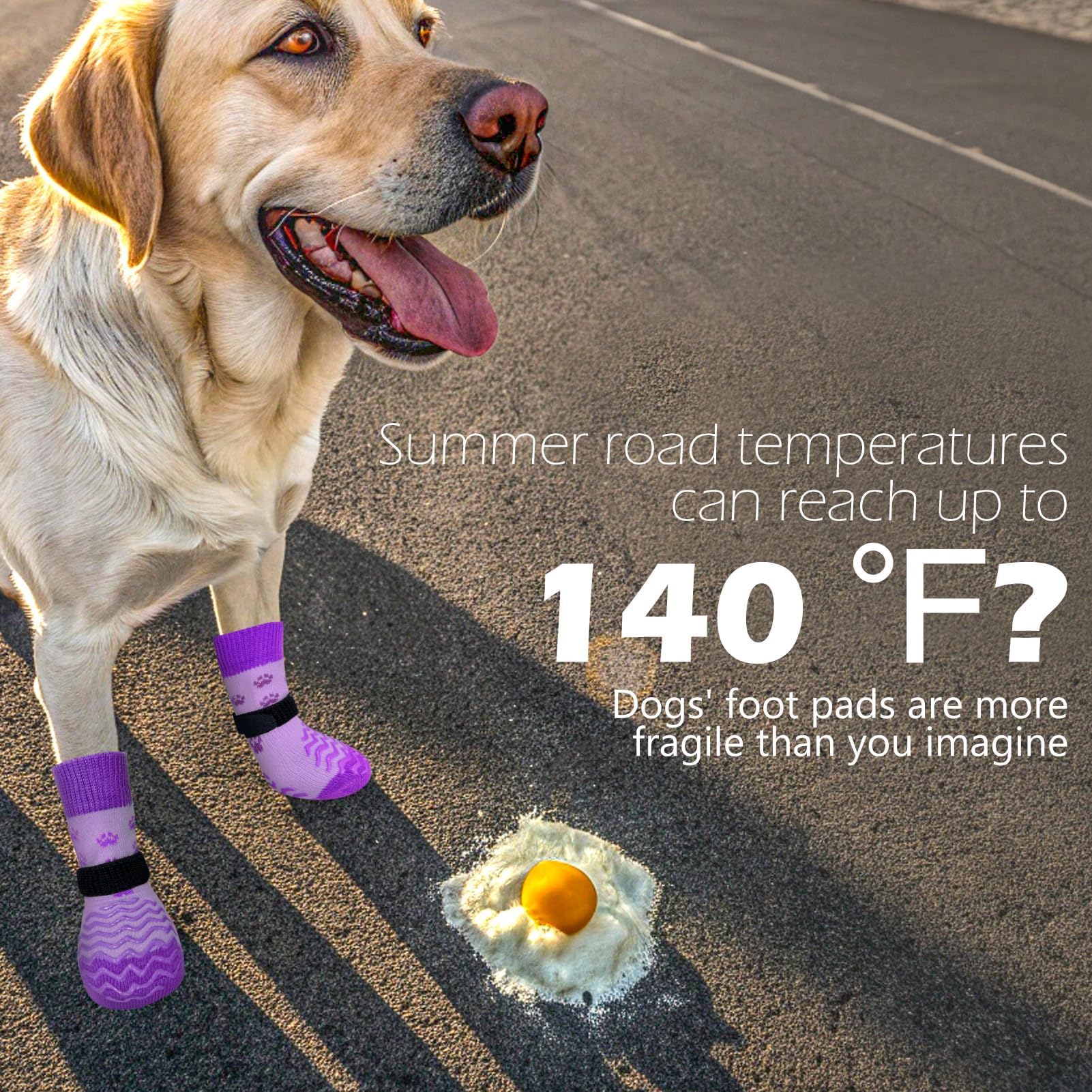 EXPAWLORER chaussette portée par chien en promenade pour protection