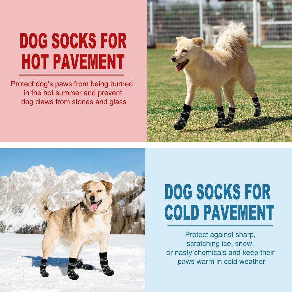 EXPAWLORER chaussettes en intérieur protégeant parquet et offrant stabilité