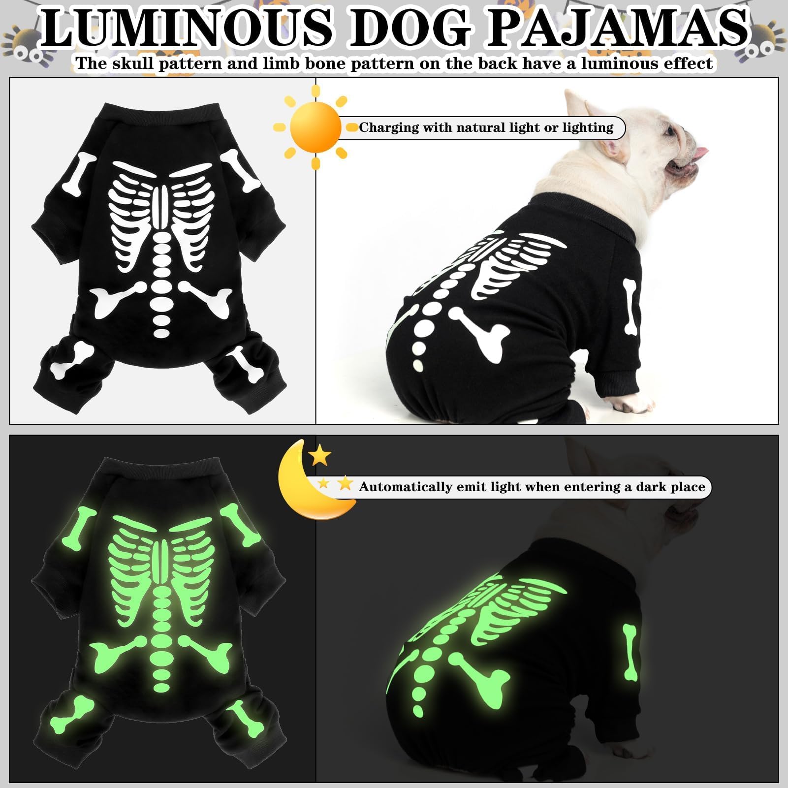 EXPAWLORER chien en balade Halloween pour visibilité nocturne