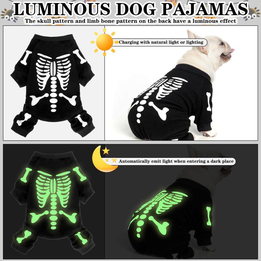 EXPAWLORER chien en balade Halloween pour visibilité nocturne