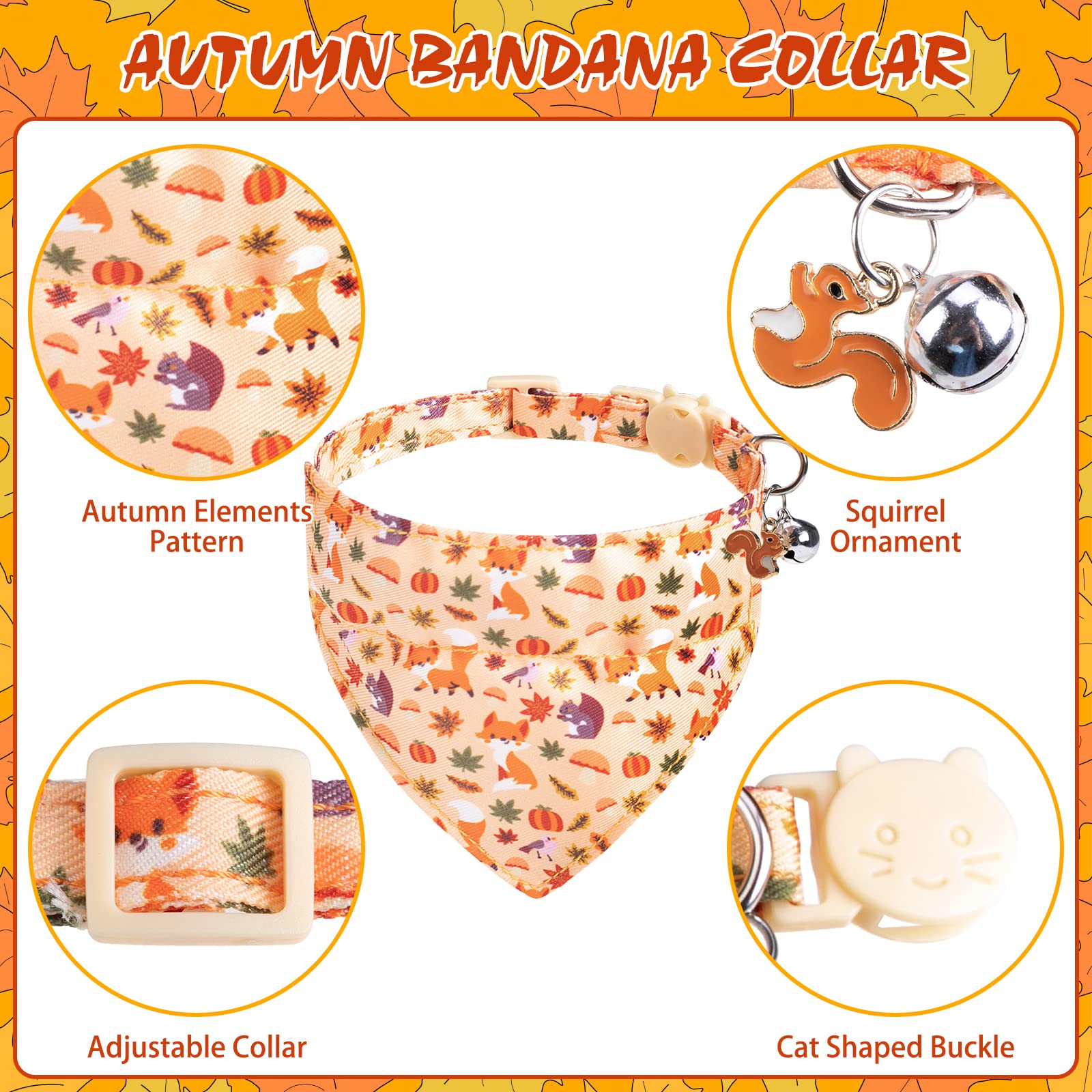 EXPAWLORER détail citrouille illustrant qualité polyester et couleurs durables