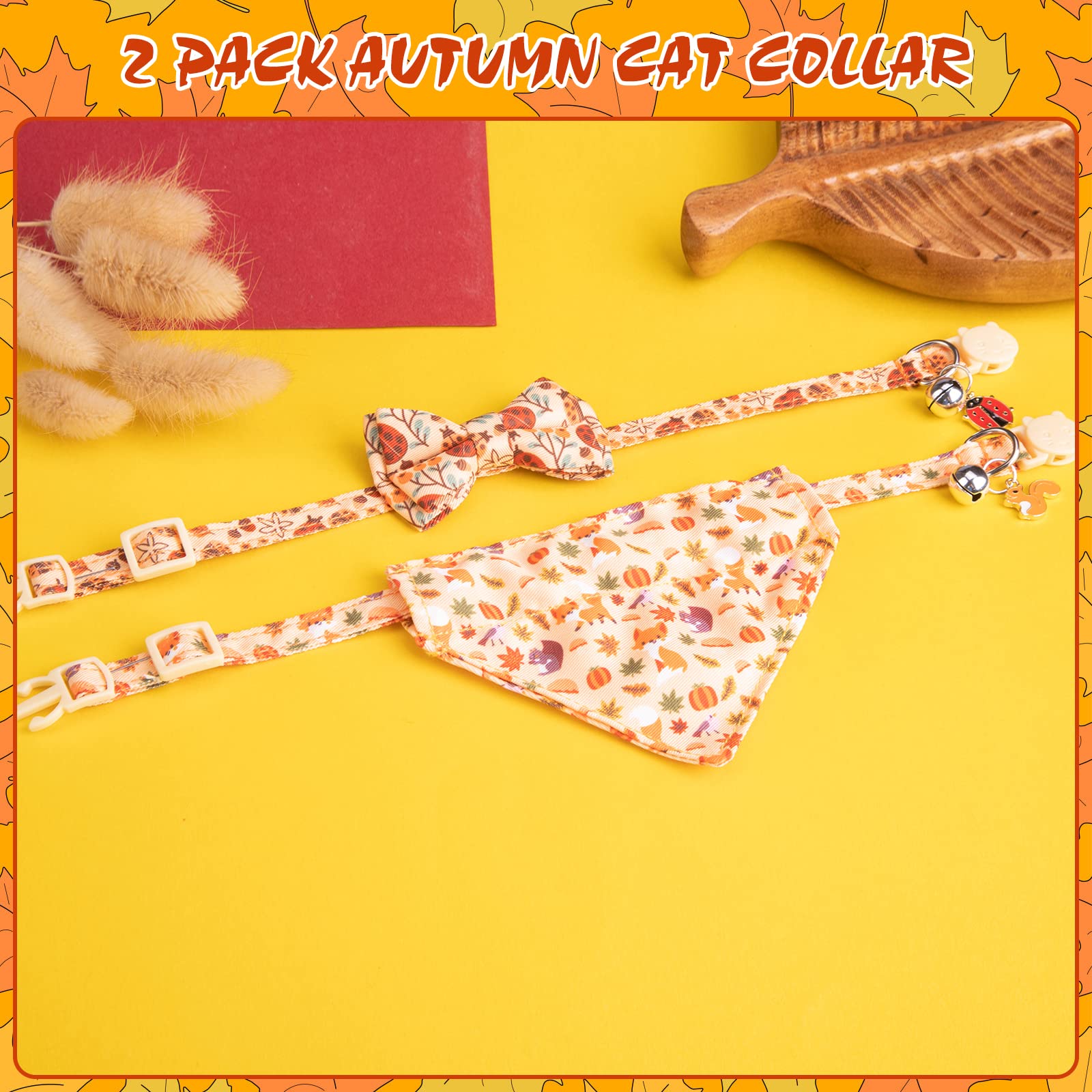 EXPAWLORER collier porté sur chat montrant ajustement confortable