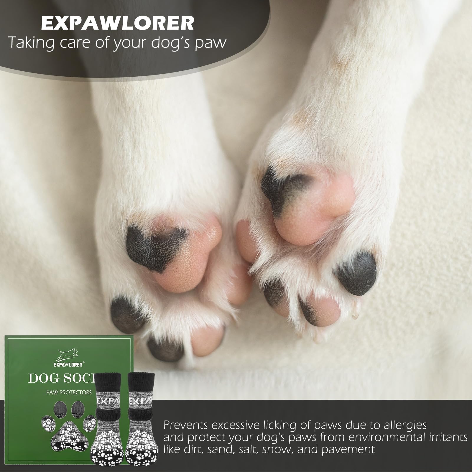 EXPAWLORER comparaison de taille montrant comment mesurer la patte