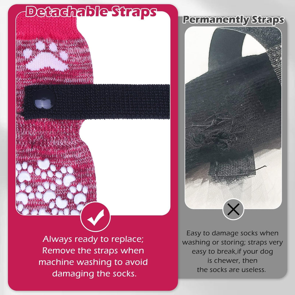 EXPAWLORER règle de mesure avec patte pour choisir la bonne taille