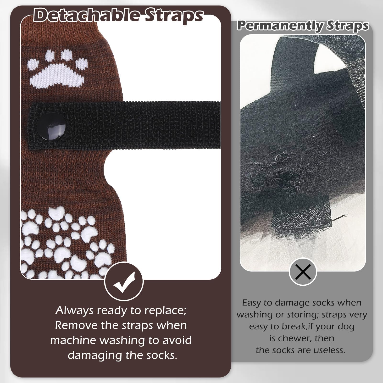EXPAWLORER comparatif de taille montrant adaptation à la patte