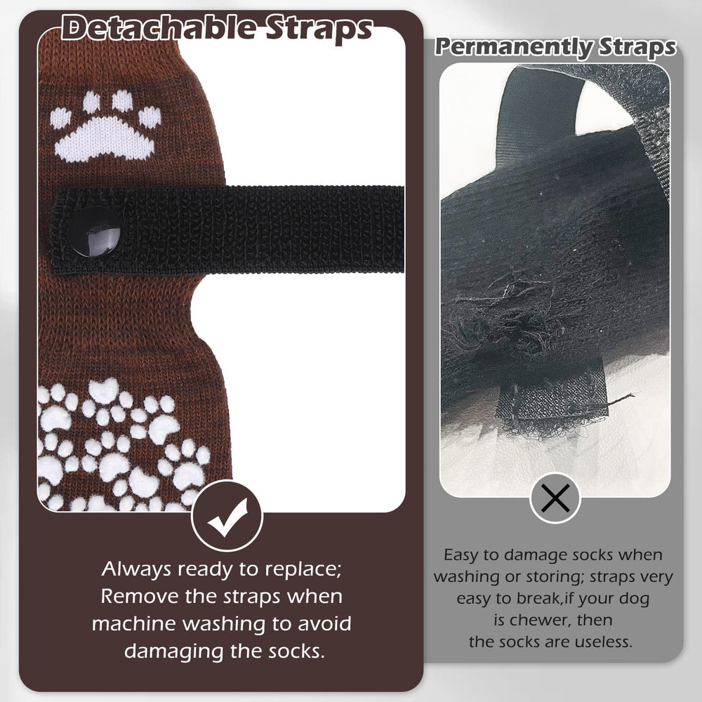 EXPAWLORER comparatif de taille montrant adaptation à la patte