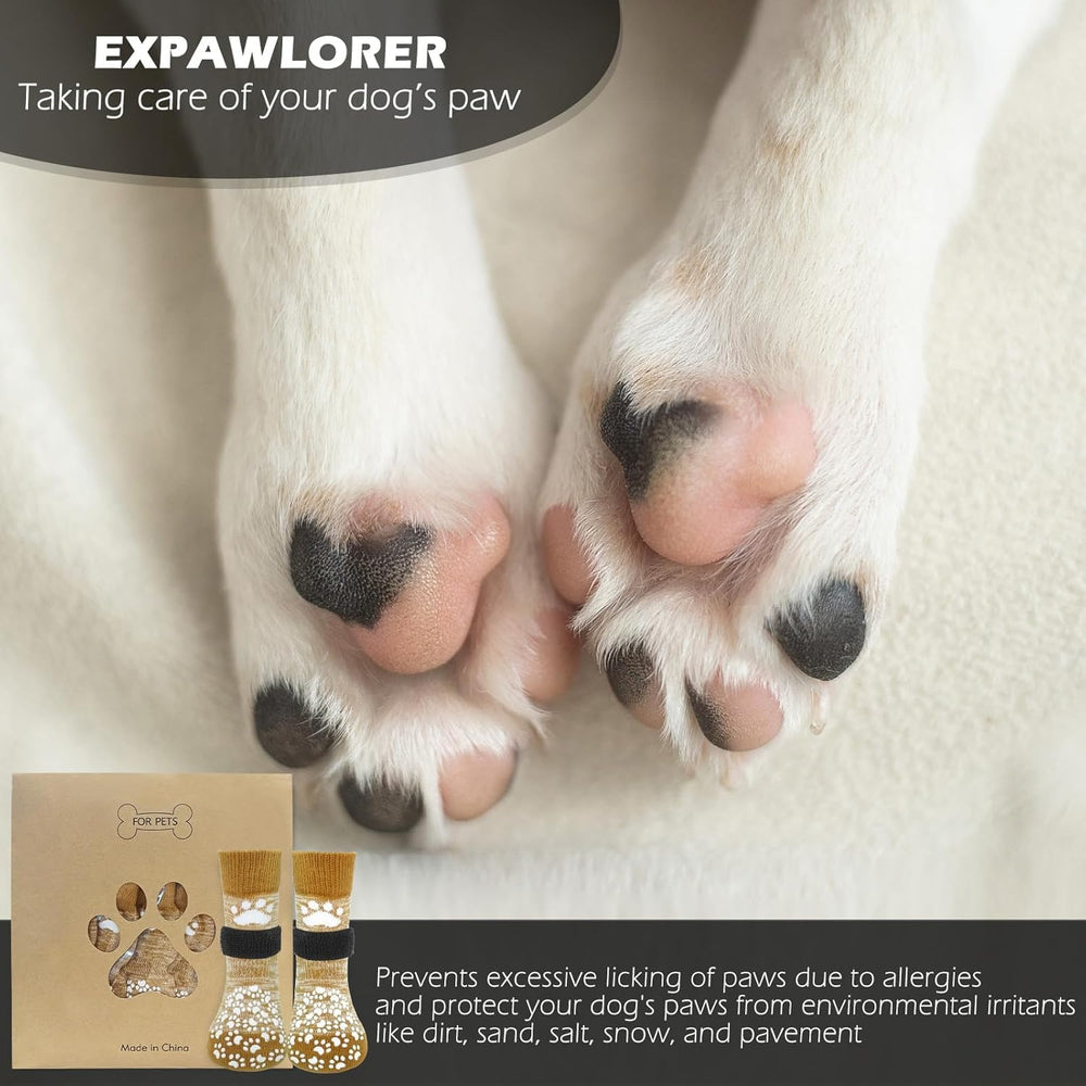 EXPAWLORER emballage et contenu montrant les pièces incluses