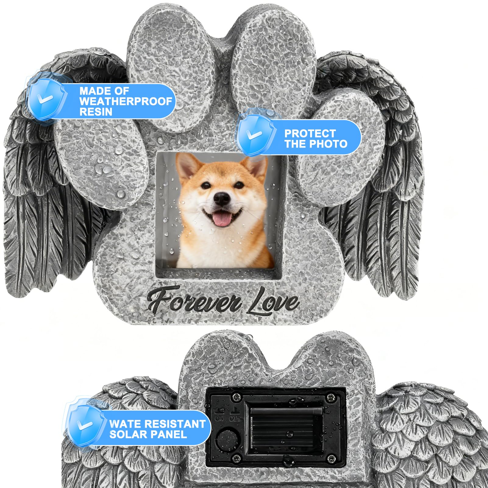 EXPAWLORER fente photo avec image pour personnaliser le souvenir