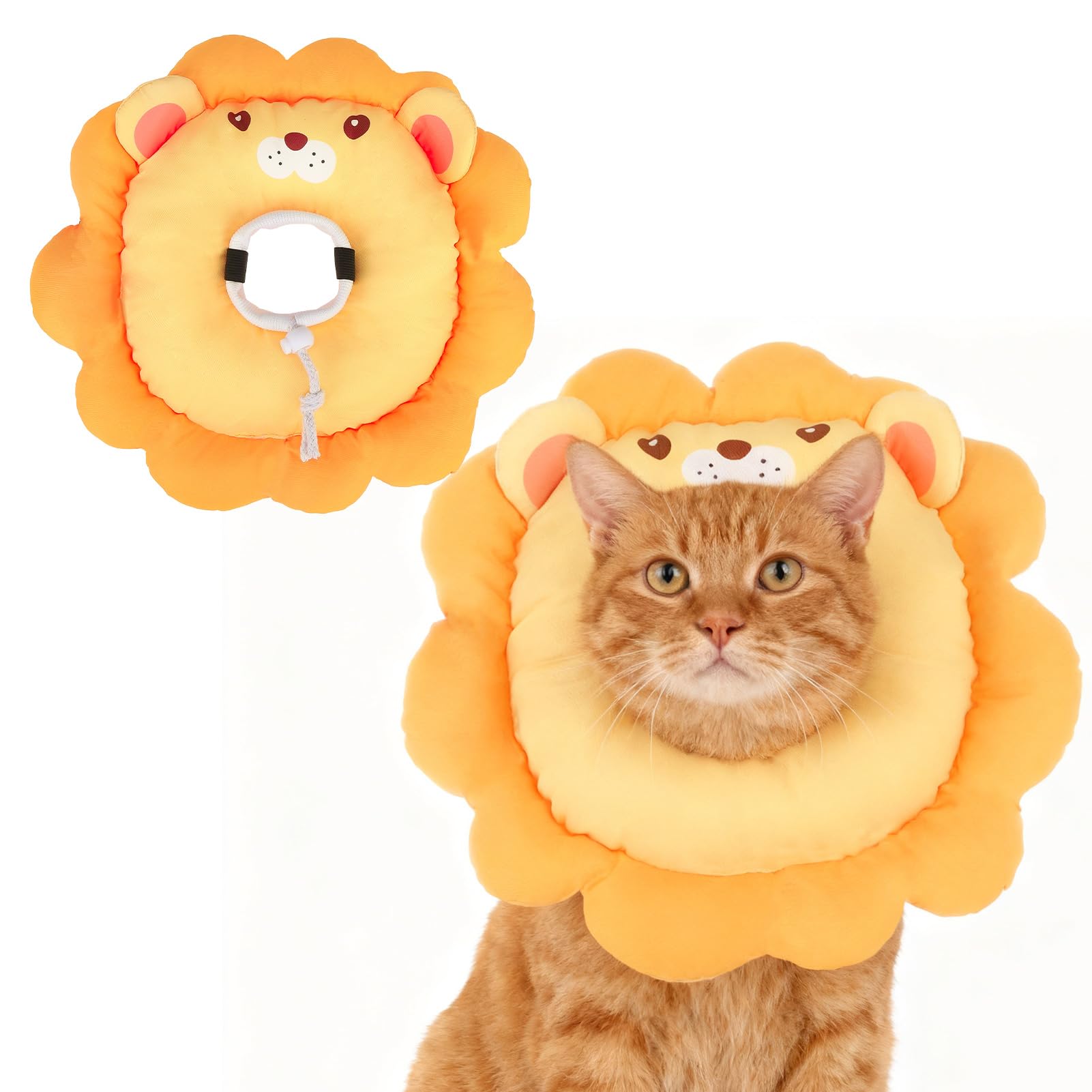 EXPAWLORER motif lion vu de face montrant la forme conique et la protection