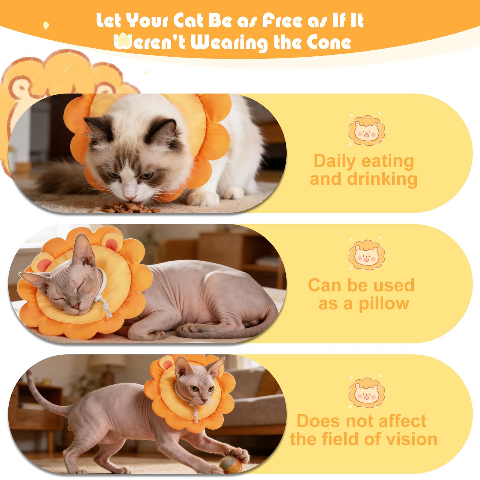 EXPAWLORER collier porté par un chat montrant liberté de mouvement