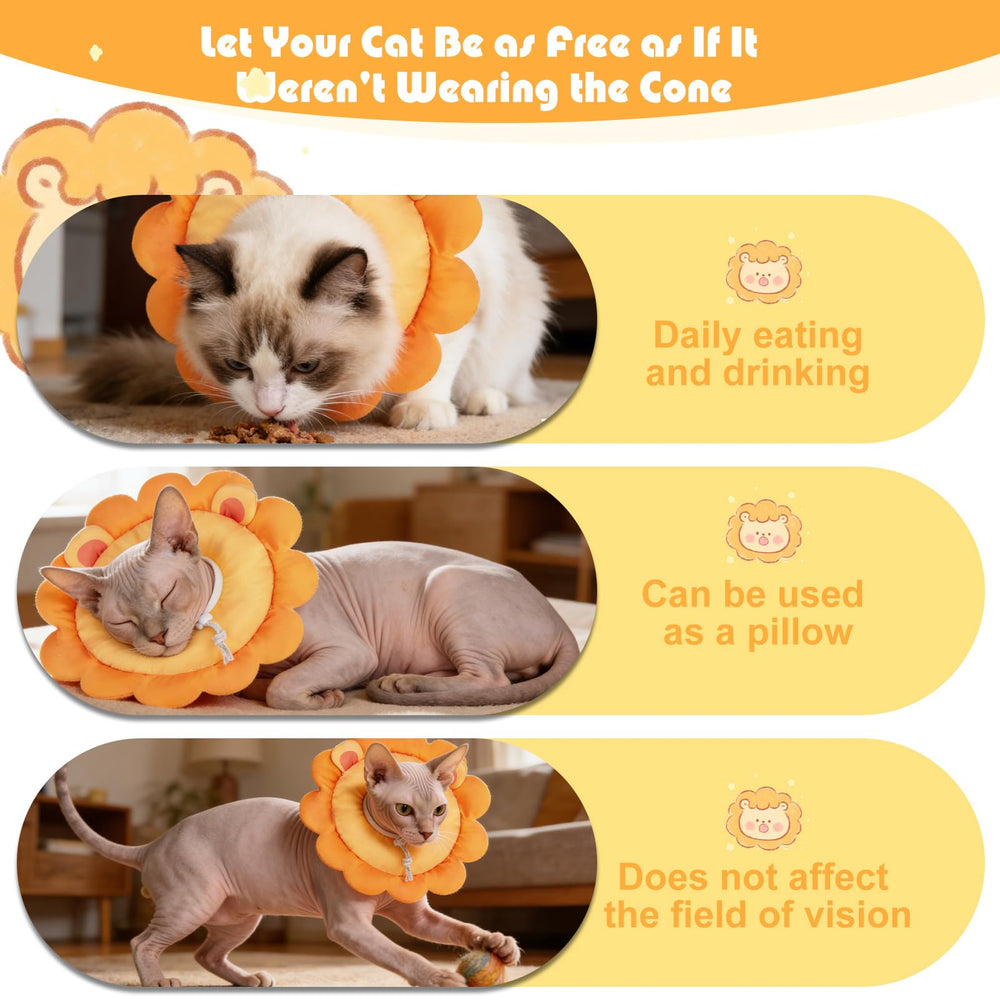 EXPAWLORER collier porté par un chat montrant liberté de mouvement