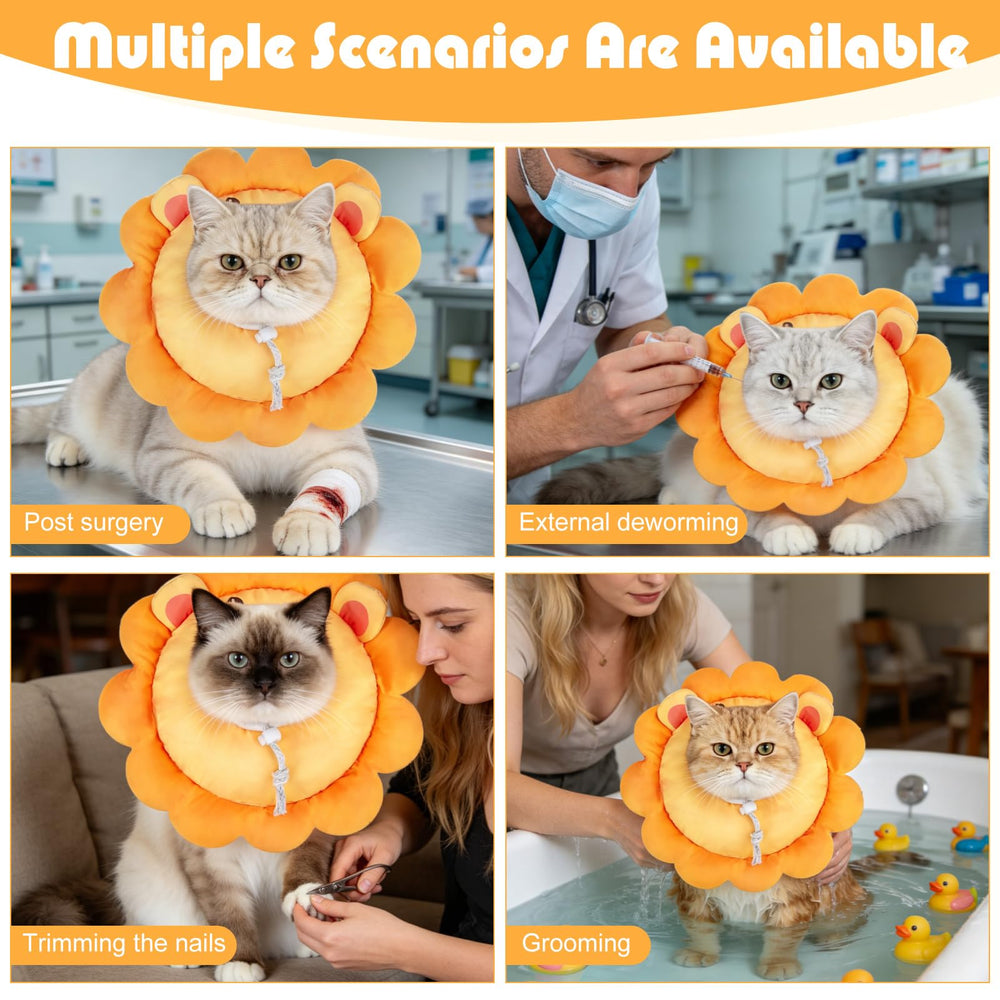 EXPAWLORER collier lion dans un salon montrant l'aspect décoratif et apaisant