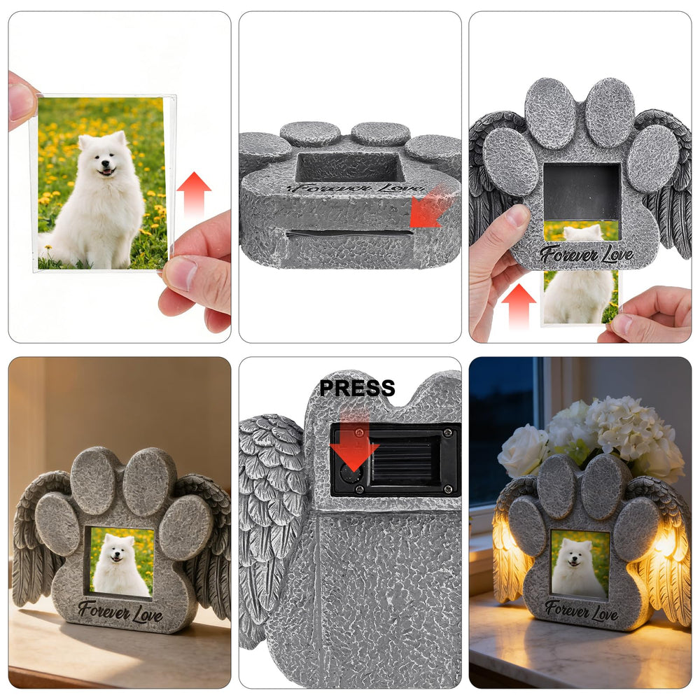 EXPAWLORER lumière chaude la nuit illuminant un coin de jardin