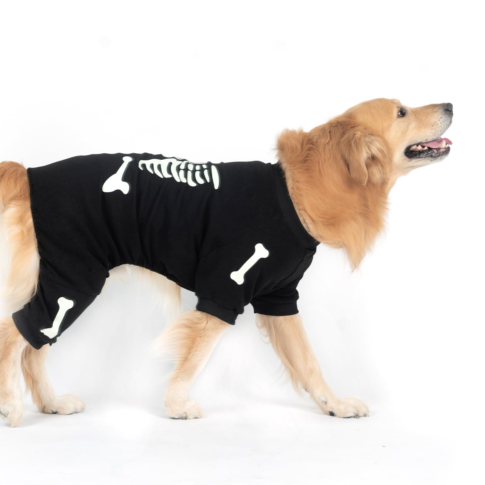 EXPAWLORER comparaison d'échelle taille XL sur chien, guide pour choisir la taille