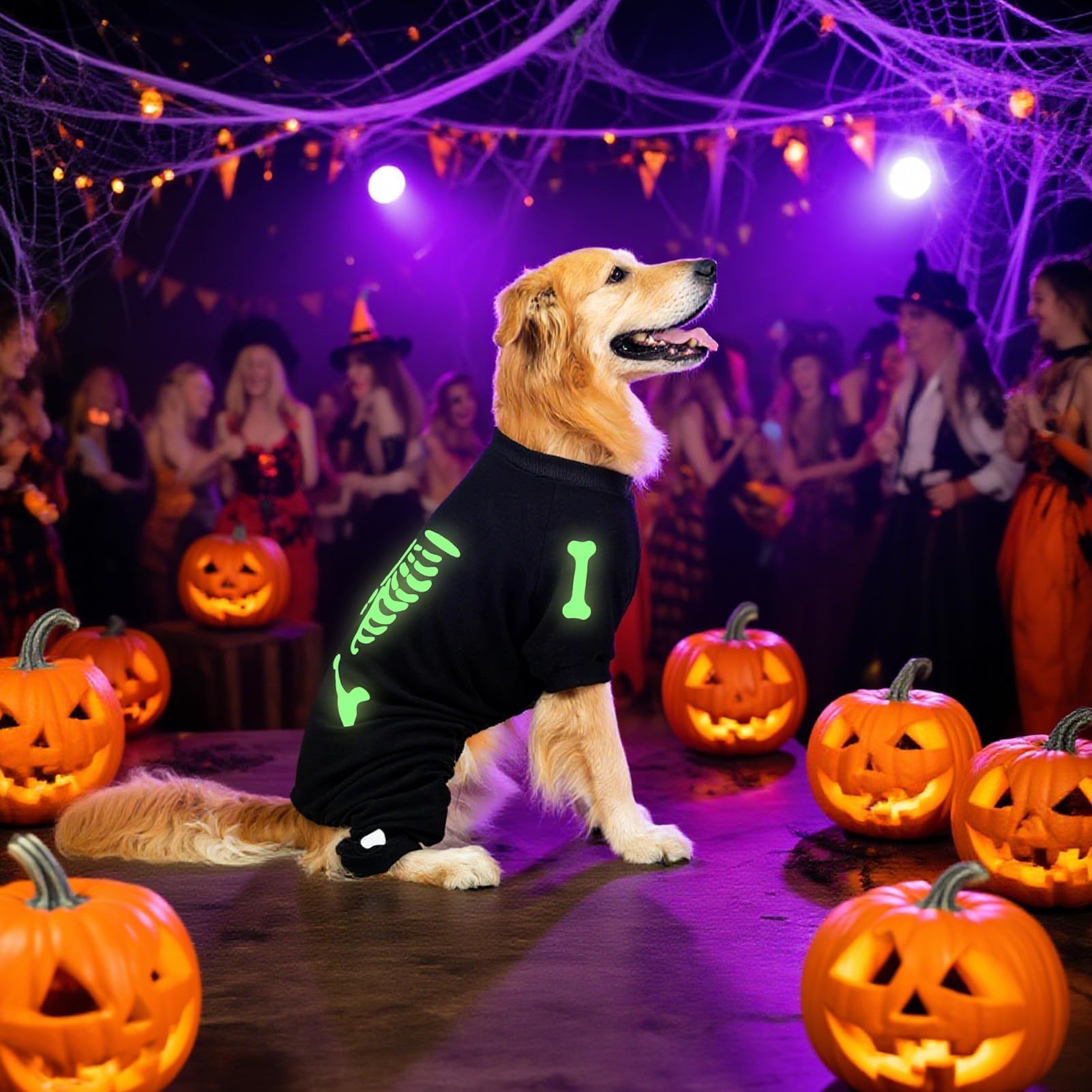 EXPAWLORER pyjama en scène de fête Halloween, look festif et pratique