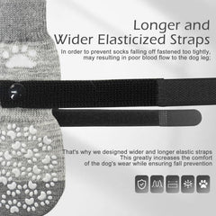 EXPAWLORER détail de la sangle ajustable pour maintien sûr et confort