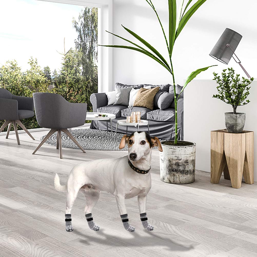 EXPAWLORER mise en scène intérieur sur parquet réduisant le glissement