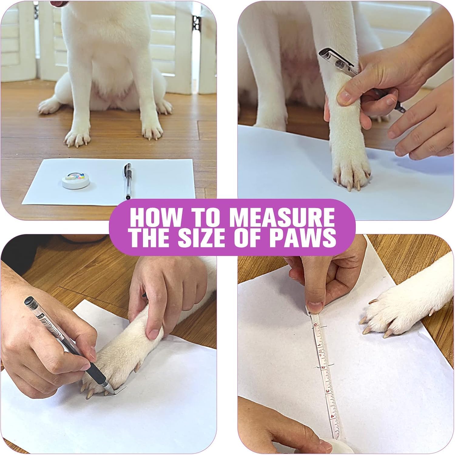 EXPAWLORER chaussures sur chien en promenade protégeant des surfaces chaudes