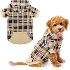 EXPAWLORER sweat devant beige montrant coupe élégante et confort